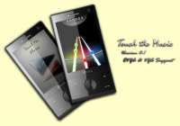 http://www.pocketpc.ch/attachment.php?attachmentid=10812&stc=1&d=1247608347