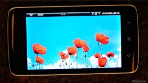 http://www.pocketpc.ch/attachment.php?attachmentid=14743&stc=1&d=1256137129