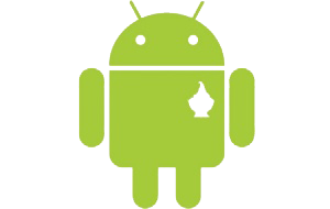 http://www.pocketpc.ch/attachment.php?attachmentid=28321