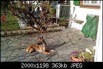 touch-hd-review-imag0055.jpg