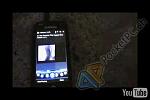 flashplayer
