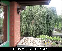 SGS2 3