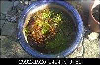 IMAG0005