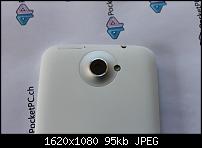 IMG 4621 (Large)