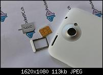 IMG 4627 (Large)