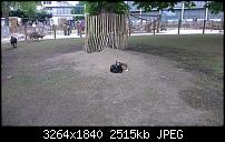 1X-5