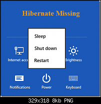 Wichtig: Neues Acer W510 Treiberpaket 3.02 / BIOS 2.00 vom 18.11.2013-hibernate-missing.png