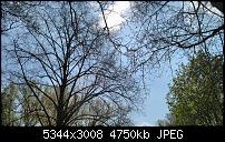 Eure Bilder mit der Kamera des Acer Jade Primo-wp_20160414_12_46_46_pro.jpg