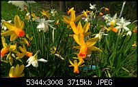 Eure Bilder mit der Kamera des Acer Jade Primo-wp_20160414_12_48_14_pro.jpg