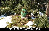 Fotos mit dem Idol 4 Pro-wp_20180330_16_05_15_pro_636584252849816004.jpg