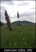 Tolle Fotos, gemacht von einem Iphone.-gr-ser2.jpg