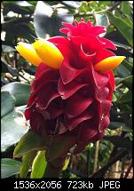 Tolle Fotos, gemacht von einem Iphone.-image.jpg