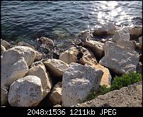 Tolle Fotos, gemacht von einem Iphone.-img_0167.jpg