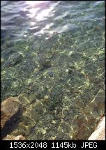 Tolle Fotos, gemacht von einem Iphone.-img_0169.jpg