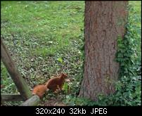 Tolle Fotos, gemacht von einem Iphone.-imageuploadedbypocketpc.ch1371531151.878949.jpg