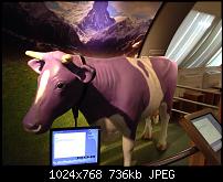 Tolle Fotos, gemacht von einem Iphone.-imageuploadedbypocketpc.ch1392284163.394488.jpg