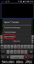 Wörterbuch bearbeiten-uleigenewoerter.jpg