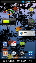Zeigt euren Homescreen-snap20100726_160827.png