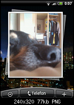 Zeigt euren Homescreen-snap20100822_000736.png