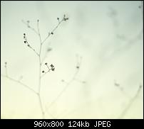 Android Wallpaper Sammlung-6.jpg