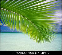 Android Wallpaper Sammlung-18.jpg