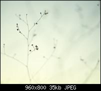 Android Wallpaper Sammlung-wallpaper60.jpg