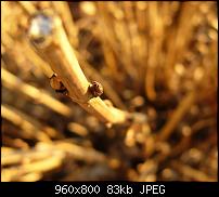 Android Wallpaper Sammlung-wallpaper98.jpg