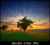 Android Wallpaper Sammlung-wallpaper76.jpg