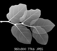 Android Wallpaper Sammlung-wallpaper58.jpg