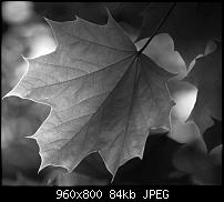 Android Wallpaper Sammlung-wallpaper57.jpg