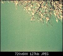 Android Wallpaper Sammlung-wallpaper97.jpg