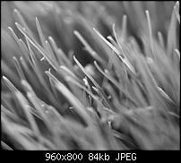 Android Wallpaper Sammlung-wallpaper56.jpg