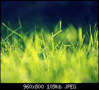 Android Wallpaper Sammlung-wallpaper96.jpg