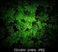 Android Wallpaper Sammlung-wallpaper86.jpg