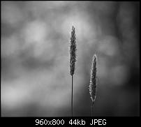 Android Wallpaper Sammlung-wallpaper55.jpg