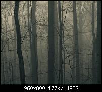 Android Wallpaper Sammlung-wallpaper116.jpg