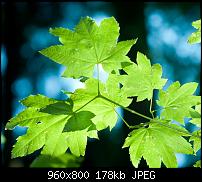 Android Wallpaper Sammlung-wallpaper95.jpg