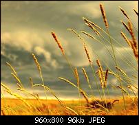 Android Wallpaper Sammlung-wallpaper115.jpg