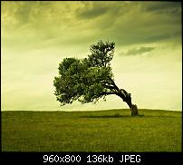 Android Wallpaper Sammlung-wallpaper75.jpg