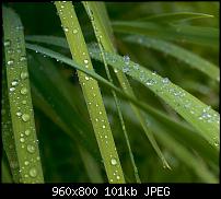 Android Wallpaper Sammlung-wallpaper93.jpg