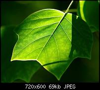 Android Wallpaper Sammlung-wallpaper92.jpg