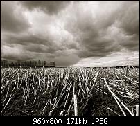 Android Wallpaper Sammlung-wallpaper52.jpg