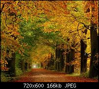 Android Wallpaper Sammlung-wallpaper112.jpg