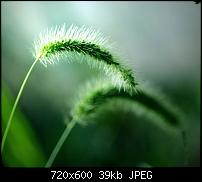 Android Wallpaper Sammlung-wallpaper91.jpg