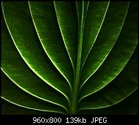 Android Wallpaper Sammlung-wallpaper90.jpg