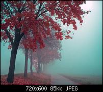 Android Wallpaper Sammlung-wallpaper110.jpg