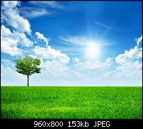 Android Wallpaper Sammlung-wallpaper79.jpg