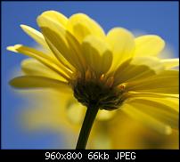 Android Wallpaper Sammlung-wallpaper109.jpg