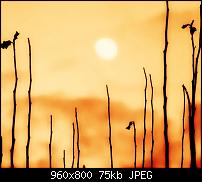 Android Wallpaper Sammlung-wallpaper108.jpg