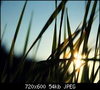 Android Wallpaper Sammlung-wallpaper70.jpg